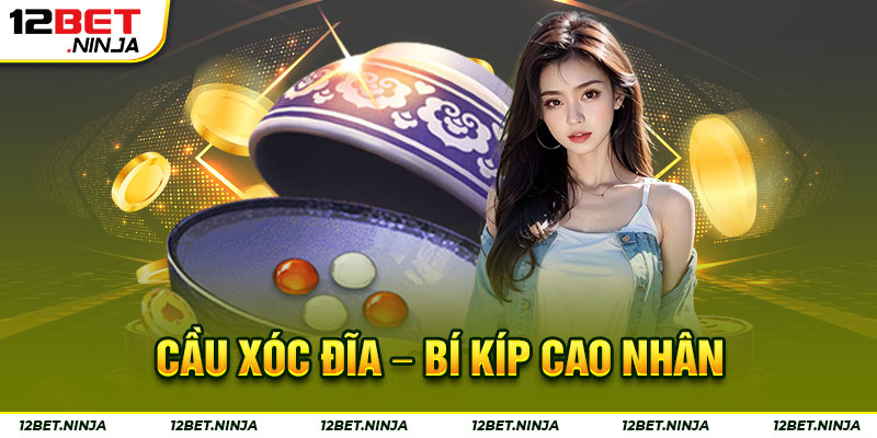 cầu xóc đĩa