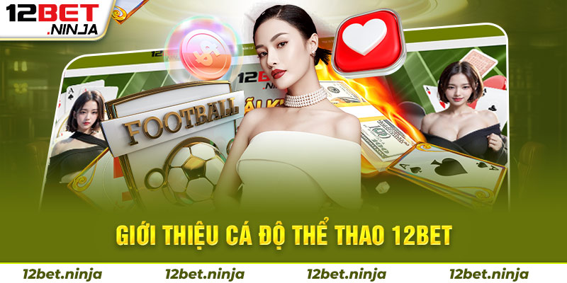 Giới thiệu về cá độ thể thao 12bet