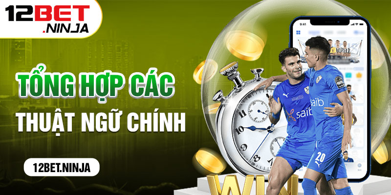 Thuật ngữ chính trong cách đọc kèo bóng đá